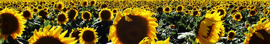 Tourism in Barcelona Rotating Header Image